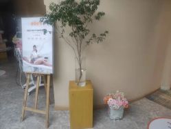 -彼家美创·量肤定制修护管理