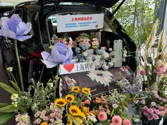 -奔驰上海利星(七宝店)