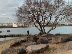 -台场海滨公园船码头