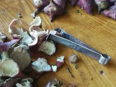 -观桥阁(锦溪店)