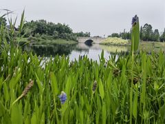 -眉山湿地公园(东坡区)