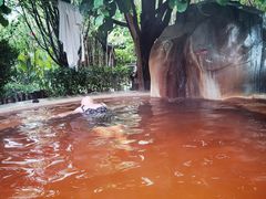 -大理地热国
