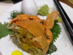 -無鱼鳞比