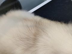 -萌兽医馆·眼科·异宠专科(三里屯店)