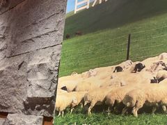 -巴奴毛肚火锅(龙湖锦艺城店)