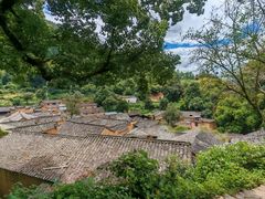 -杨家堂村