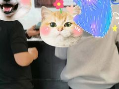 -山北老老头馄饨