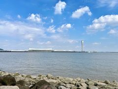 -上海吴淞炮台湾国家湿地公园