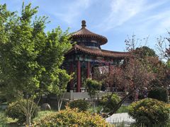 -泰山风景名胜区-虎山公园