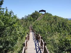 -大岭沟猕猴桃谷风景区