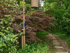 -梁鸿国家湿地公园