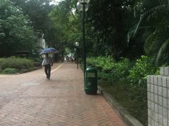 -九龙公园