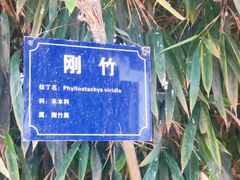 -白塔山公园