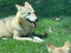 -北京野生动物园