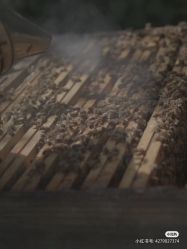 -安吉拉青春化管理中心