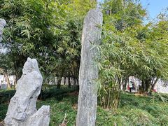 -上海醉白池公园