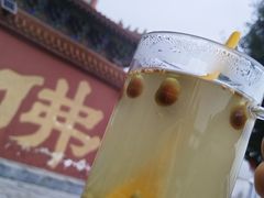 -长沙黑麋峰国家森林公园