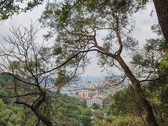 -广州市白云山风景名胜区
