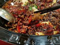 -烧哥美蛙肥肠鱼火锅·十五年社区店