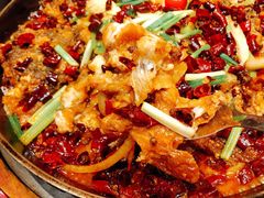 老板恋上鱼-老板恋上鱼(荣盛广场店)