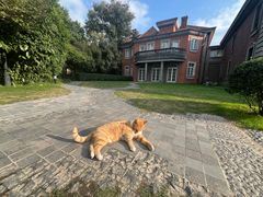 -Circle圆·花园西餐厅