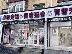 -青奢宠物·青奢猫舍