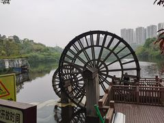 -重庆彩云湖湿地公园