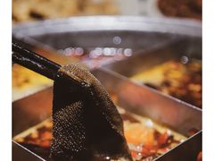 -大虎重庆老火锅(正弘城店)