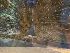 -慢妙云端·SPA会所