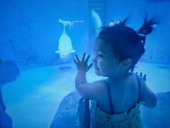 -海合安成都极地海洋公园