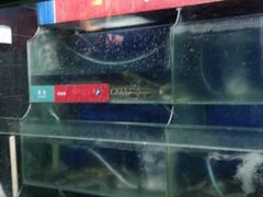 -鱼酷活鱼烤鱼(南京水游城店)