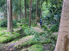 -成都市活水公园