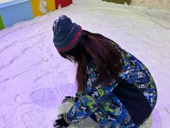 -世界之窗阿尔卑斯冰雪世界