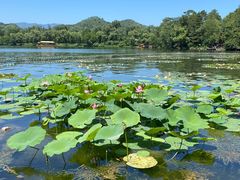 -承德避暑山庄景区