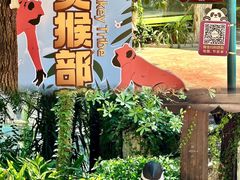 -灵玲国际马戏城