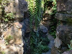 -水绘园