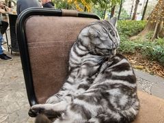 -Liberty Brewing Co·曼哈顿餐吧