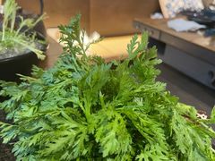 皇帝菜-湊湊火锅·茶憩(东城万达店)