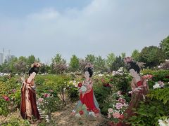 -曹州百花园
