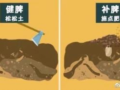 -安吉拉青春化管理中心