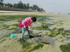 -北海金海湾红树林生态旅游区