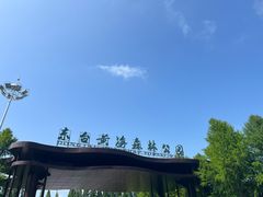 -黄海国家森林公园