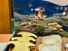 -菌小白·野生菌火锅(时尚天河店)