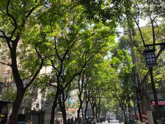 -UPUPKAFE  立咖啡(浏城桥店)