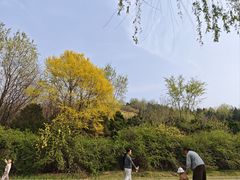 -南翠屏公园