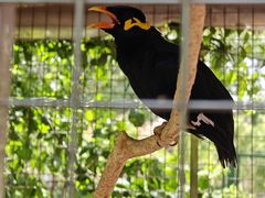 -水上乐园·欢乐世界