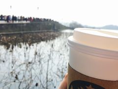 -西湖外事游船(花港观鱼码头)