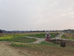 -空港花田景区