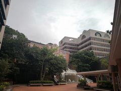 -香港大学