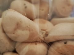 -墨茉点心局(喜盈门范城店)